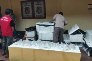 Sasar Penyelundupan Lobster, Pemerintah Bentuk Satgas P2BBL 
